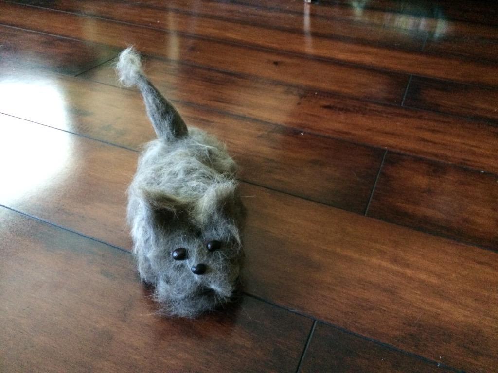 ADMageras's tweet photo. #Furminator =awesome! Built this new cat from one round of brushing my cats and a couple of coffee beans ;) http://t.co/pAX9E6aQrO