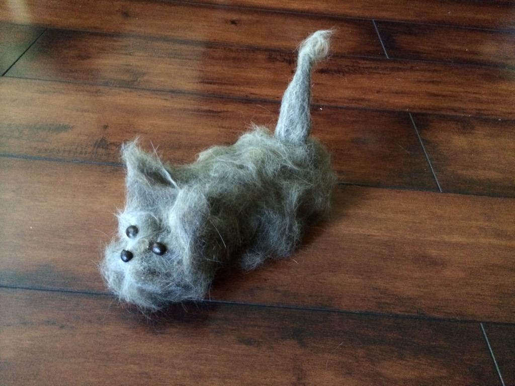 ADMageras's tweet photo. #Furminator=awesome! Built this new cat from one round of brushing my cats and a couple of coffee beans ;) http://t.co/xvtyDSn8Tc