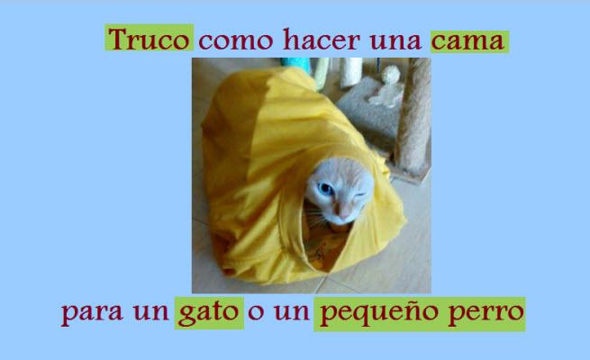 Video: Camita para tu mascota youtu.be/Dkma0JHmCtA