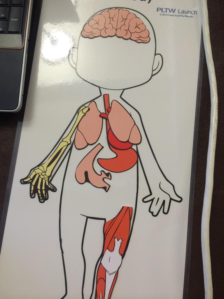 Julie Myers tweet media