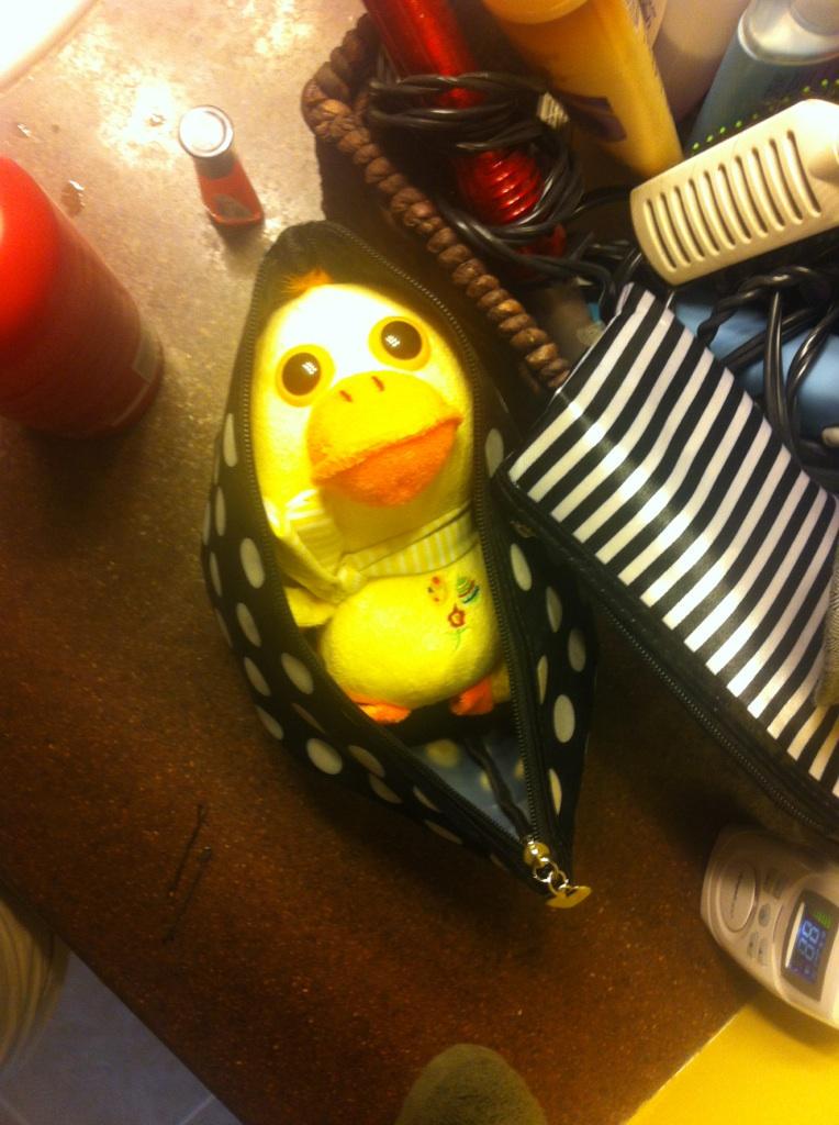 cr33pyduck's tweet photo. Someone found me in their makeup bag this morning. They weren't happily surprised.  #PutThatFaceOn #CreepyDuck #Eyes http://t.co/JKrzn3AXjO
