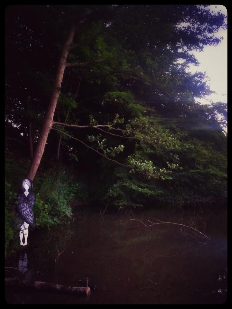 Coloquix's tweet image. Swamp angel, Sheffield UK. Xx #coloquix #streetart #graffiti #sheffield