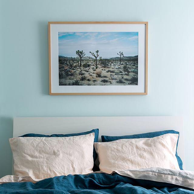 It was so much fun working with <a href="/behrpaint/">BEHR Paint</a> to update our bedroom that was inspired by our friend <a href="/michaelnewsted/">Newsted, Michael</a> ph…