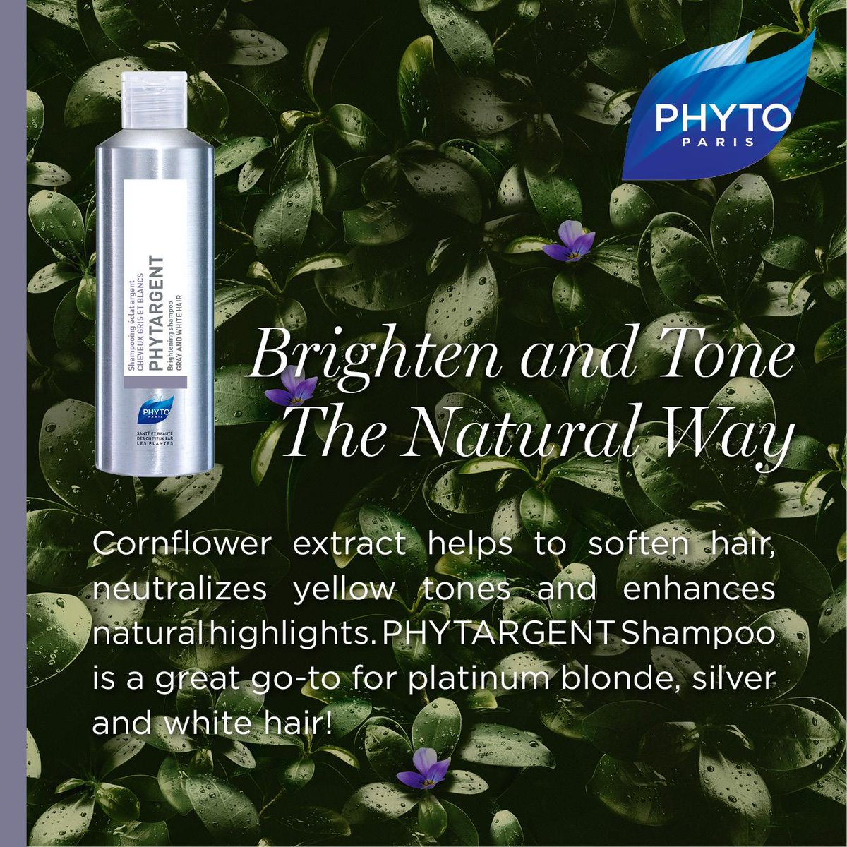 Phytargent Hashtag On Twitter