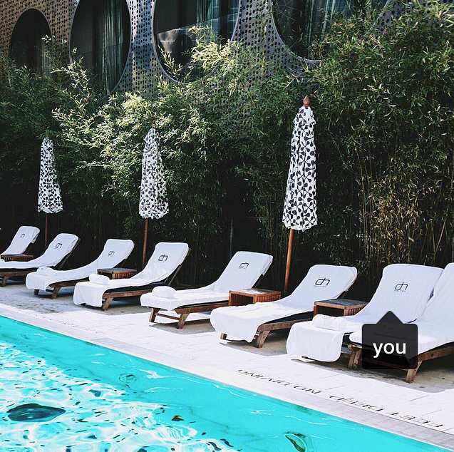 Début Hotel Group tweet media