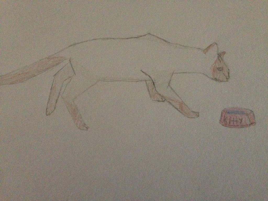 venompaw's tweet photo. Another drawing 😁 http://t.co/gdSvhLWG4J