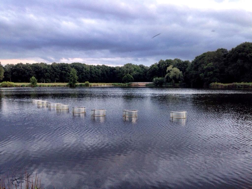 AndreElings's tweet photo. Gemeente @waalwijk wat is dit? #lido #vreemdeobjecten http://t.co/GkefYXzVKM