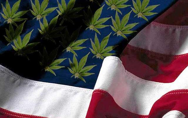 HIGH_TIMES_Mag's tweet photo. Stay up-to-date on the latest #marijuana news with the HIGH TIMES #LegislativeRoundup! http://t.co/SbJKyqjPky http://t.co/qBPMJboqQe