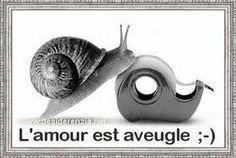Elisa Laroudie tweet media