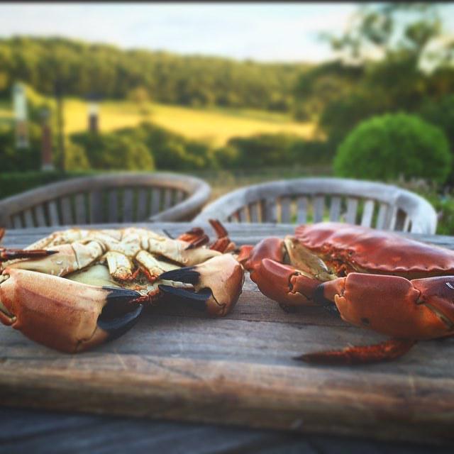 Whit_by's tweet image. @whit_by by tomcchef Cracking #Whitbycrab for dinner #alfresco #crosscliff #dalbyforest #holidays #yorkshire #yorks…