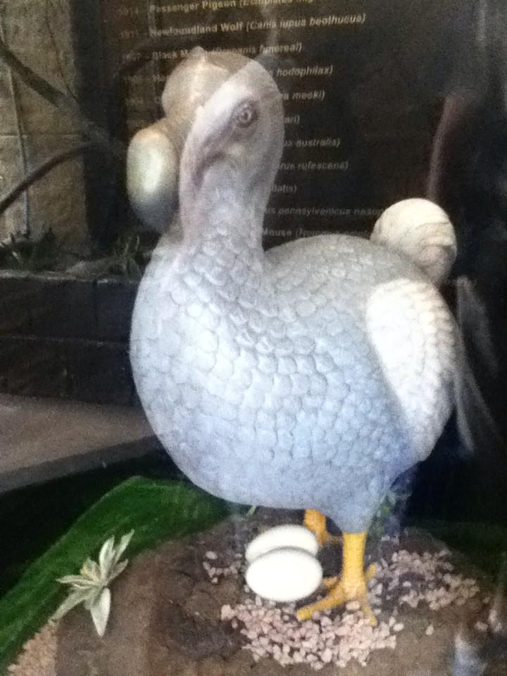 2004Reece's tweet photo. http://t.co/nln4OOZvRf