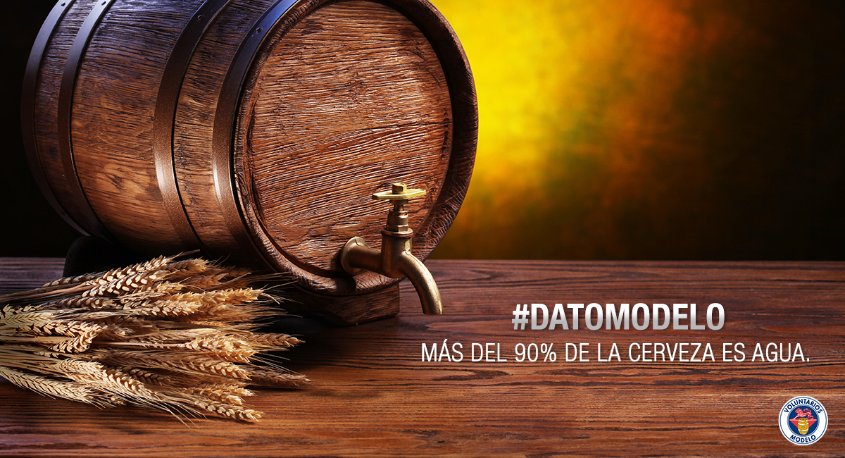 ConsumidorModel's tweet image. #DatoModelo En la antigüedad, la gente prefería tomar cerveza, ya que el agua solía estar contaminada.