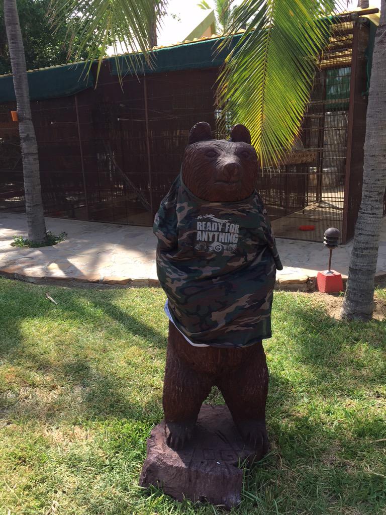 Twinace's tweet image. #myruggedlife #loadedforbear #maxxdigital