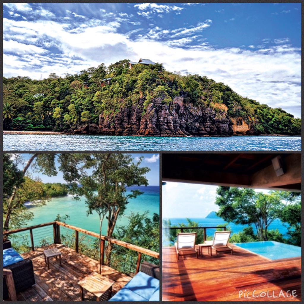 REAL LIFE Caribbean tweet media