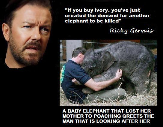 Protect_Wldlife's tweet photo. Something to think about. If this doesn't bother you are beneath contempt!!! http://t.co/GB6KlgYegU