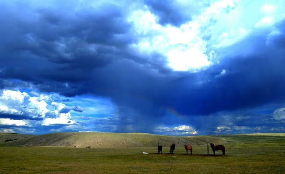 AmazingMongolia's tweet photo. You can find paradises in different parts of #Mongolia . #travel #wanderlust #ttot #nature #wildlife #holiday http://t.co/muJlRB0JIg