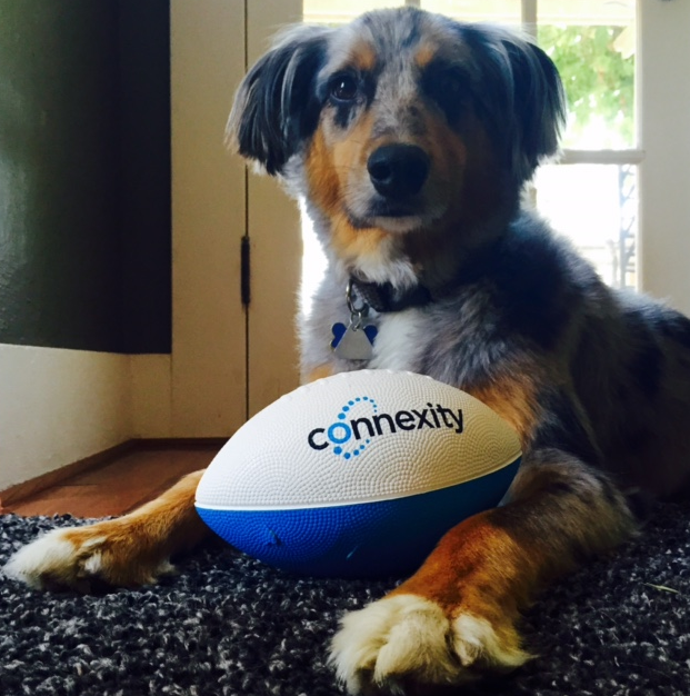 Connexity's tweet photo. Our friends at #BlueKai shared this shot of puppy love with us. @OracleDataCloud http://t.co/1zWSXf6CQ9