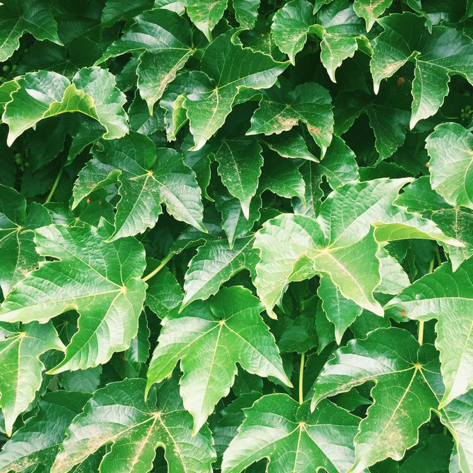 Watch D's leaked NSFW photo on TwXstars