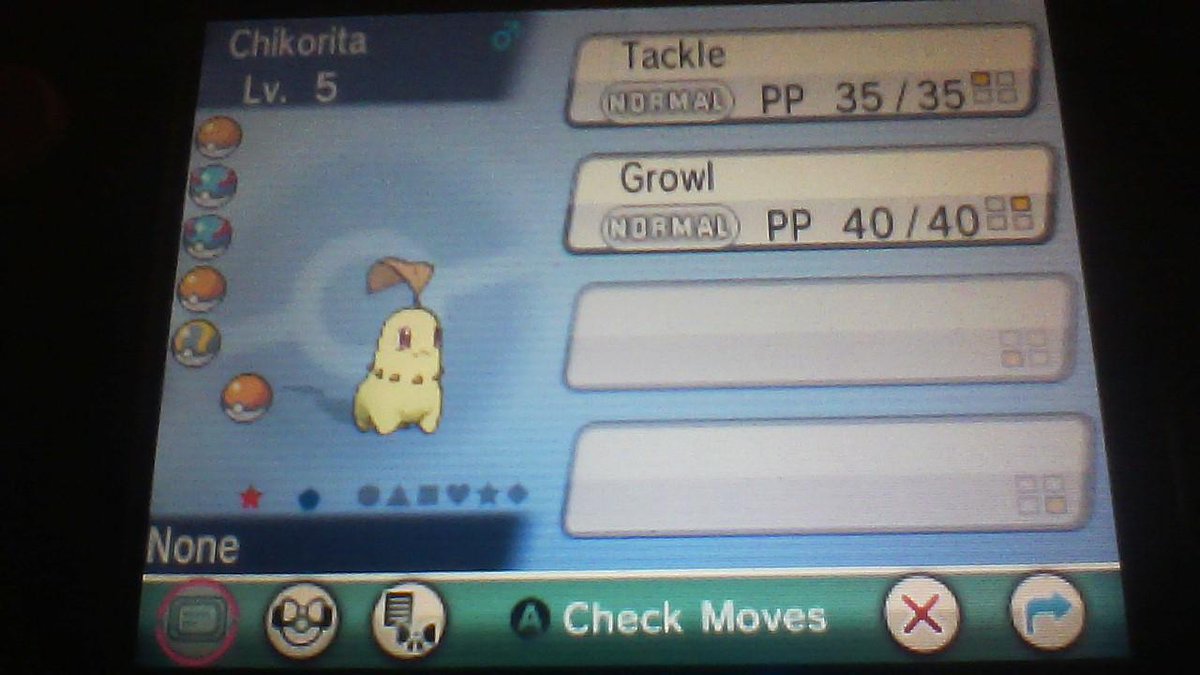 JesterPokemon's tweet image. Shiny Chikorita after 4 days of SRing &amp;lt;3 My 3th pokemon from prof birch (No shiny cham)