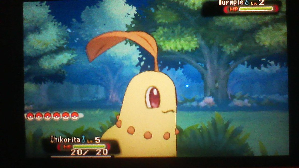 JesterPokemon's tweet image. So cute &amp;lt;3