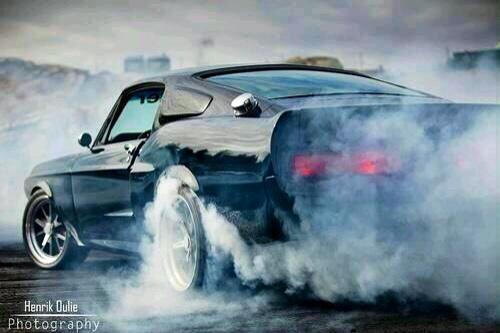 SVT_Cobras's tweet photo. Smoke 'em if you got 'em #Mustang style!
#MustangMonday http://t.co/HoJIHAfMbl