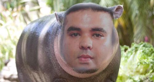 babyxmoo's tweet photo. ZAYN become a cashier guy on target,NB MUST BE BECOME
.
.
OWH HE BECOME A FKN HIPPO  😂😱#ZaynFromTarget http://t.co/qrjhQu0Mik