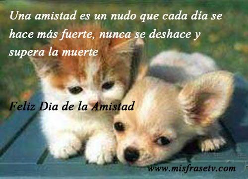 Enlace permanente de imagen incrustada