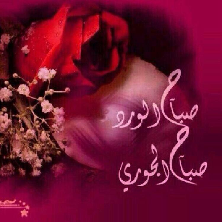 manayer505's tweet photo. الحمدلله الذي احيانا بعدما اماتنا واليه النشور 🌷
اعظم نعمه ان تعيش يوم جديد تبدأه بذكر الله . http://t.co/6i5zOl2LBZ
