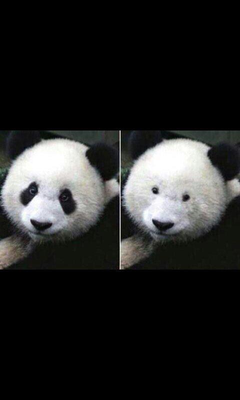 MissNewL's tweet image. #GrowingUpWithGlasses how people see us with/without glasses