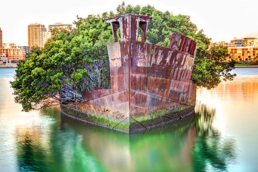 朽ちた船はまるで海に浮かぶ森のよう。これは#シドニーのホーム