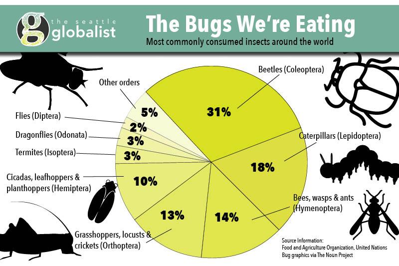 FAOstatistics's tweet image. #EdibleInsects provide nutrients to ≈ 2 billion people worldwide. What kind of bugs are eaten?