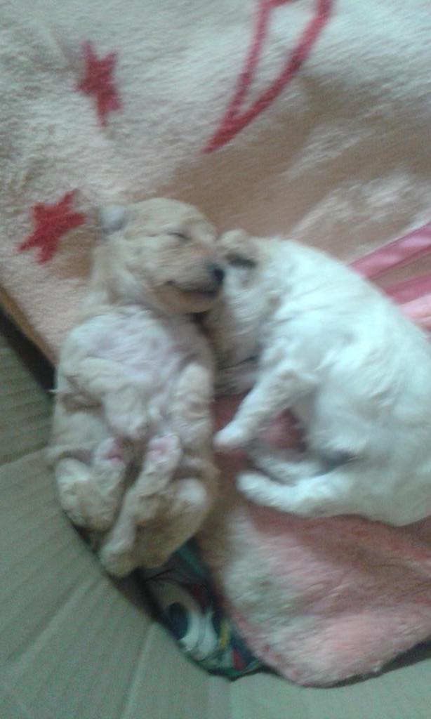 Hace frio no queremos levantarnos!!!!