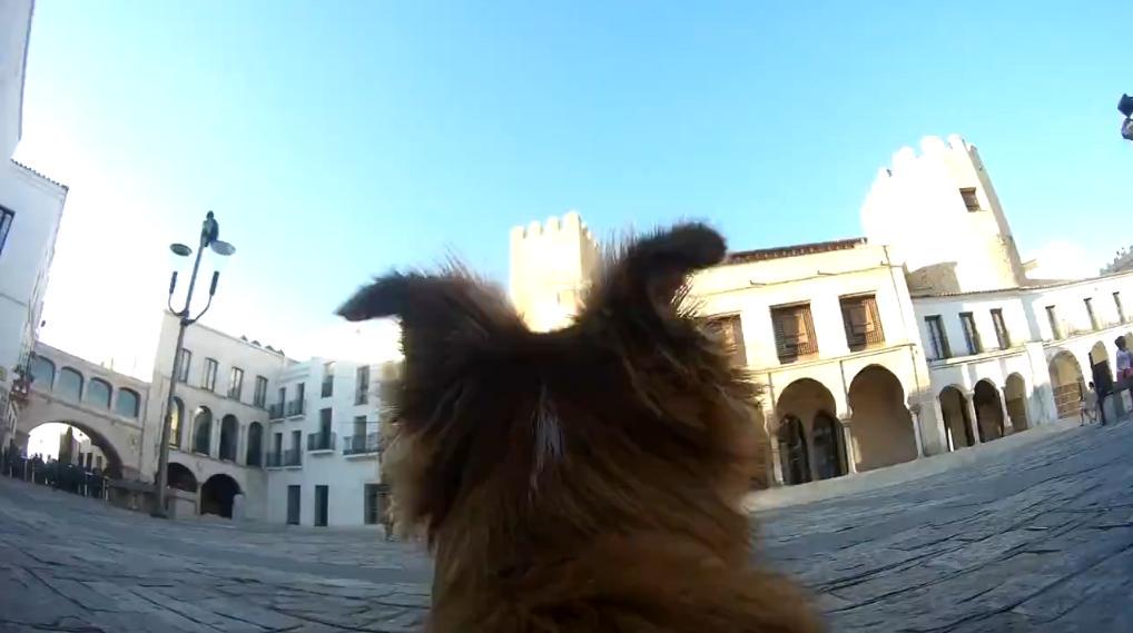 hoyextremadura's tweet photo. #Badajoz, a vista de perro (vídeo) http://t.co/7uNnEO8gbR http://t.co/4ZkWVnd4ij
