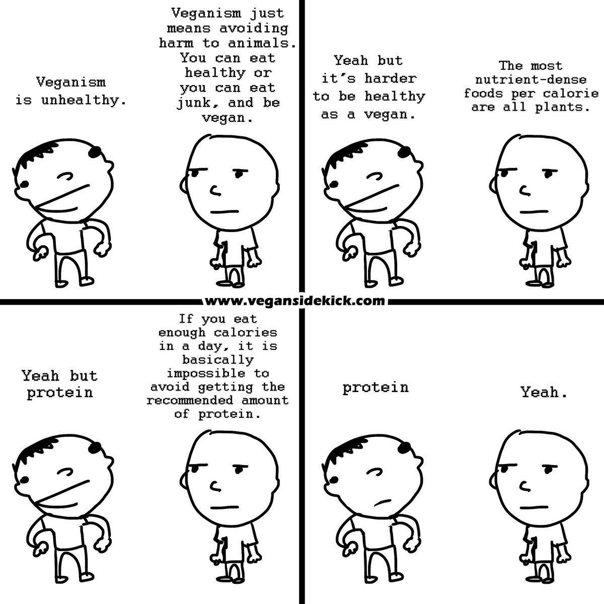 Vegan Sidekick (@vegansidekick) on Twitter photo 