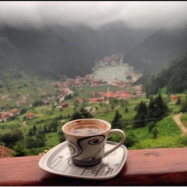 10Fton's tweet photo. * الحب مشاعر جميلة و أحاسيس راقية ،،
الحب هو حياة القلوب الميتة ... http://t.co/MQ9gkrpwY2”