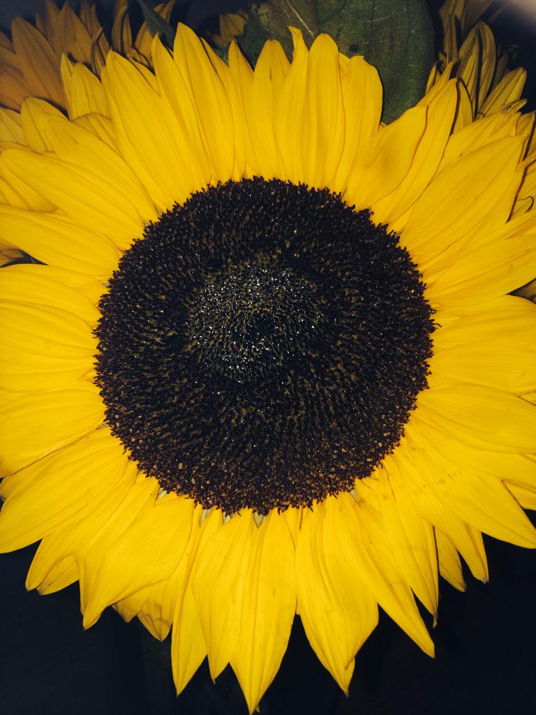 hellengerda's tweet image. ☺️