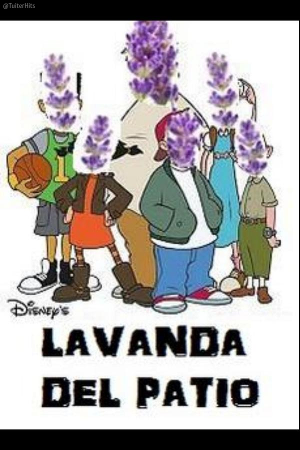 TuiterHits's tweet photo. JAJAJAJAJAJA La tontería del día: http://t.co/pKpAe3Aqbg