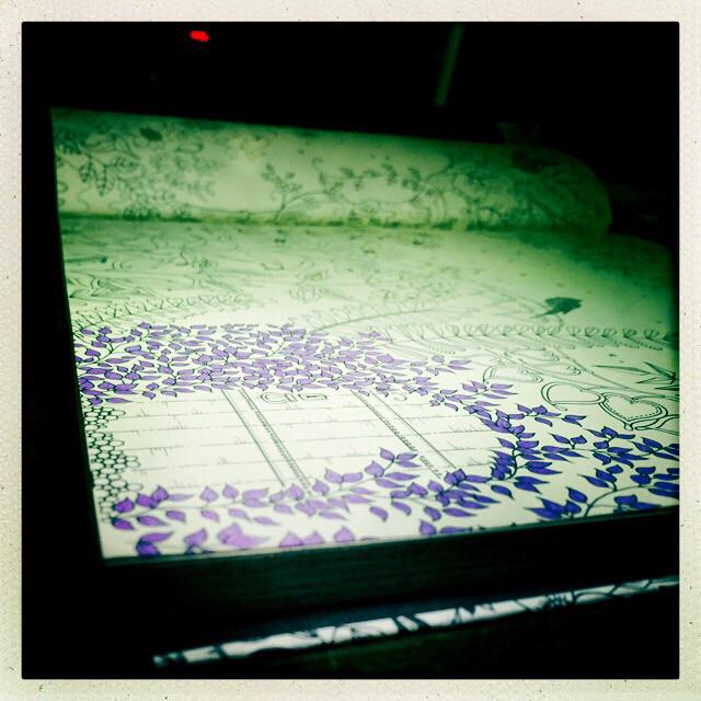 berniceaspi's tweet image. Intricate... #coloringbookaddict #secretgarden #destress #glitterbaby #Hipstamatic #JohnS #Inas1982