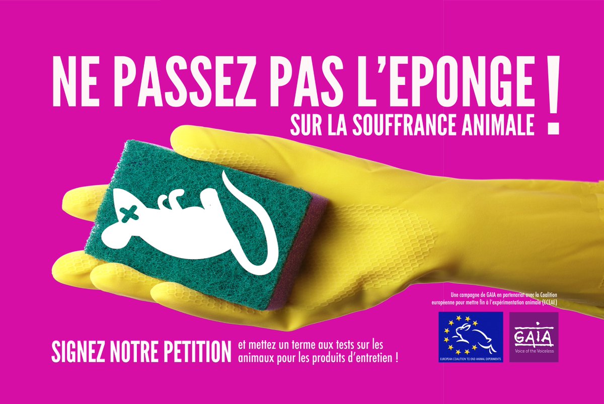 GAIABrussels's tweet image. Ne passez pas l'éponge sur la souffrance animale: signez &amp;amp; RT notre pétition #contrelestests! gaia.be/fr/petition-pr…