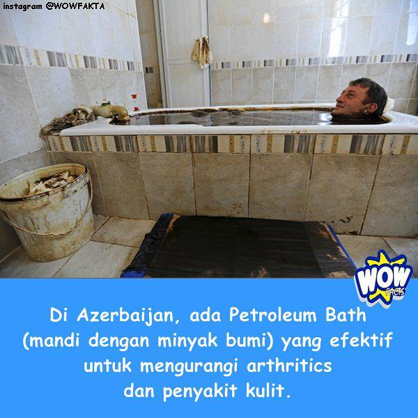 kontenwow's tweet photo. Faktagram hari ini adalah #tahukahkamu #tahukahanda #wowfakta #fakta #faktanya #wow via @WOWFAKTA_IG http://t.co/f2szlWl7Dt