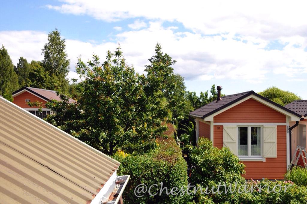 Hoomins painted the cottage. Then they felt the tin roof looks weathered. Now they painting da roof 😐 #socialpressure