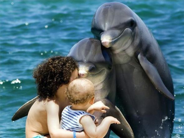 https://pbs.twimg.com/media/CKa-EqSUYAA2g9q.jpg:large
