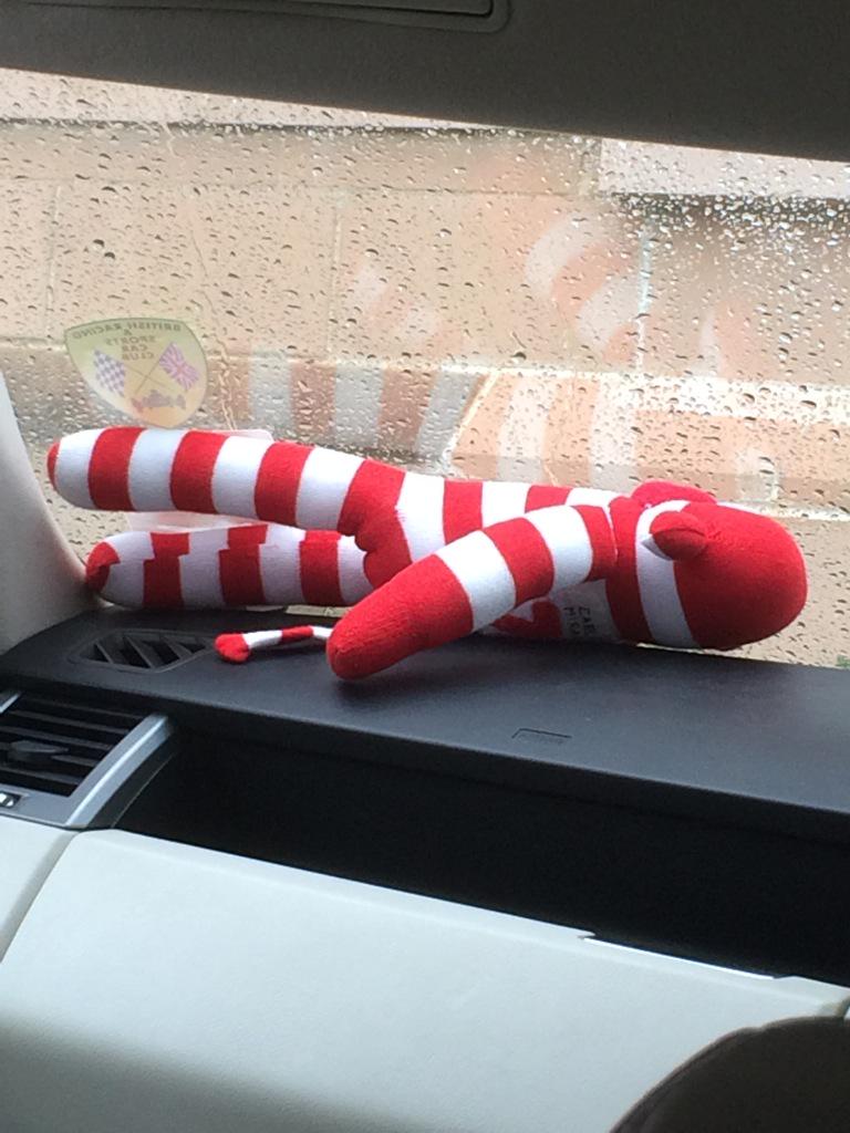 CarlitosMonkee's tweet photo. @Moto_Speed_1 I had my nose pressed to a windscreen for 24 hrs on thursday .. I feel your pain! #monkeyabuse http://t.co/1SqQ4M7yPG
