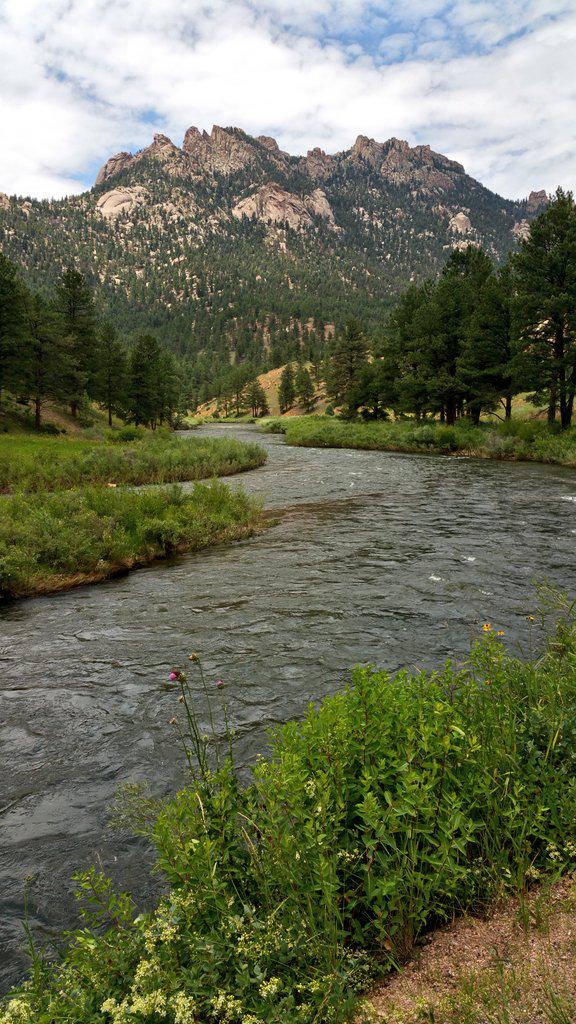 leadertippet's tweet image. Working on a blog post to encompass 2015 so far. High waters, no more Colorado Drought, Stoneflies... #colorado