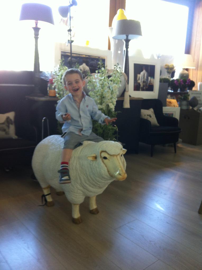 RowellDesign's tweet image. PLEASE NOMINATE ROWELL DESIGN.

irishtimes.com/life-and-style…