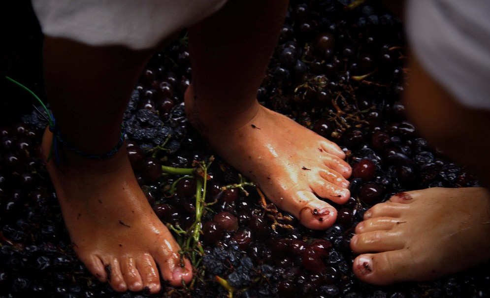 Branzai_'s tweet photo. El Vino, el español tonto y un problema de Marca. 
http://t.co/JA3YjZjyLX  #branding #vino http://t.co/inwEcNW6x1