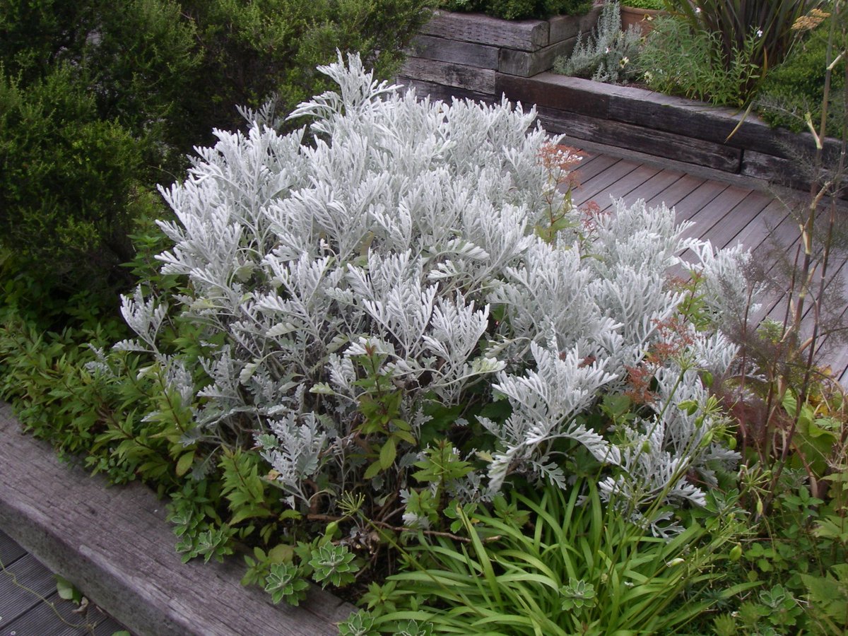 株式会社緑風舎 Ryokufusya Twitter