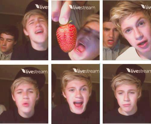 liamsdolan's tweet photo. Niall should bring those back  #NiallAppreciationDay http://t.co/3p3JyaqJoI