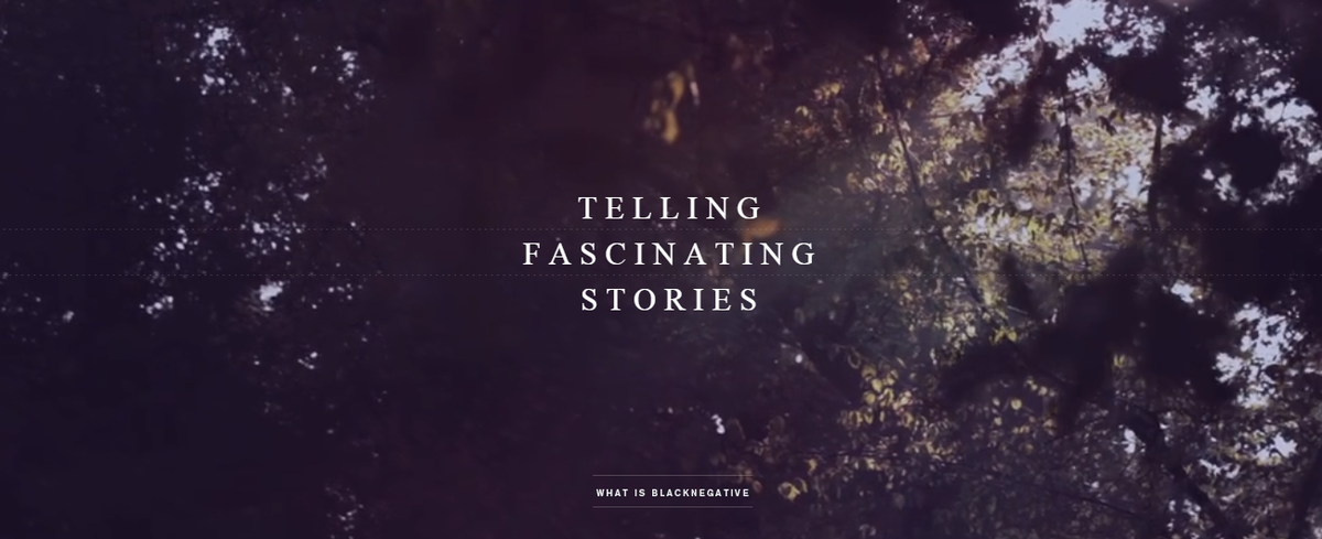 Web Pro Team tweet media