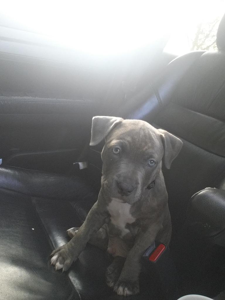 Me and my goon riding